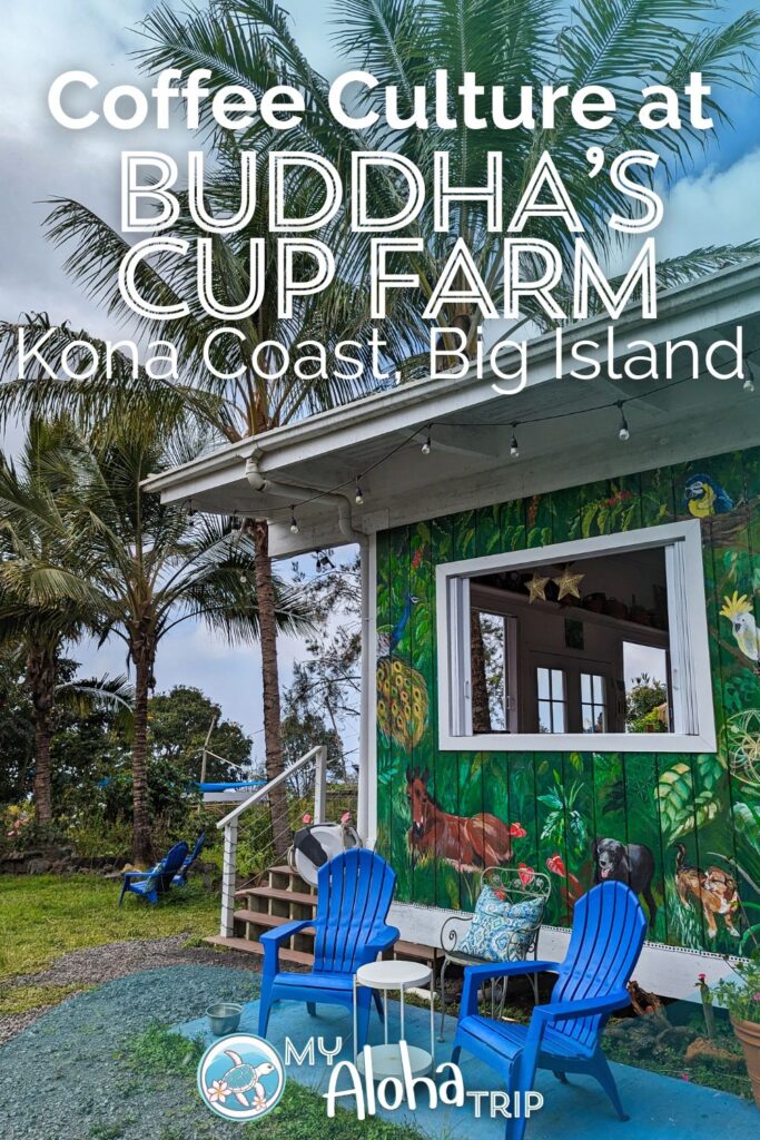 Buddha's Cup Coffee Farm is one of the many Kona Coffee experiences you can have on the Big Island of Hawaii. Located south of Kailua-Kona, Buddha's Cup is a Bohemian farm with a tasting room, relaxing spaces and guided coffee farm tours.