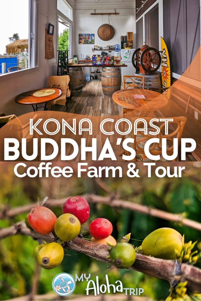 Buddha's Cup Coffee Farm is one of the many Kona Coffee experiences you can have on the Big Island of Hawaii. Located south of Kailua-Kona, Buddha's Cup is a Bohemian farm with a tasting room, relaxing spaces and guided coffee farm tours.