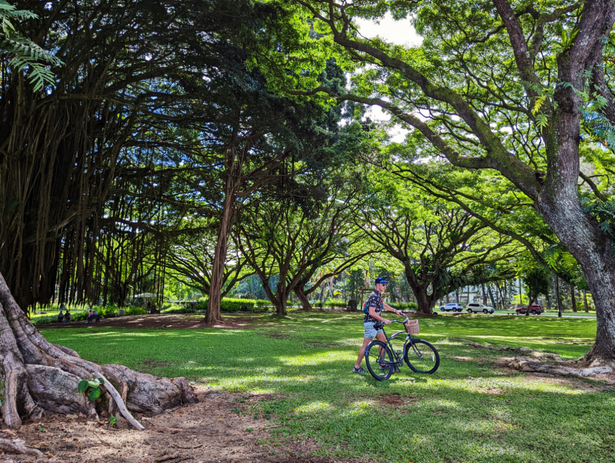 Chris Taylor Biking at the Banyan Trees at Liliʻuokalani Gardens Hilo Big Island Hawaii 1