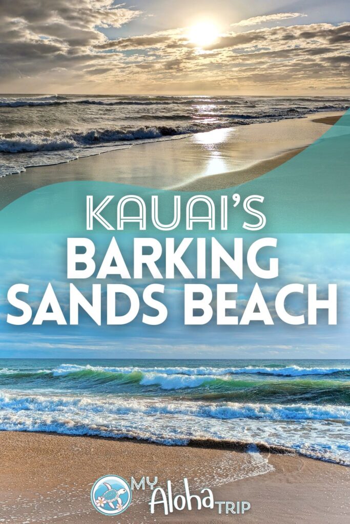 Barking Sands Beach on the western shore of Kauai is one of the best stretches of beach on the Garden Island. See what this beach is like and how to add it to your Kauai trip, as it's a bit off the beaten path.