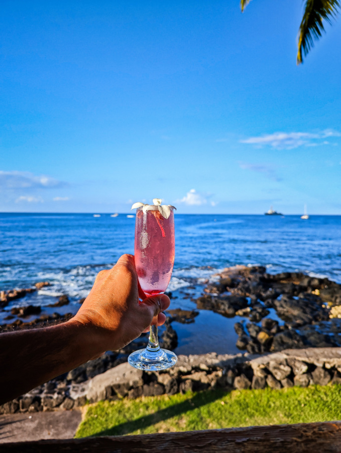 Hibiscus Mimosa at Papa Kona Kailua Kona Big Island Hawaii 1