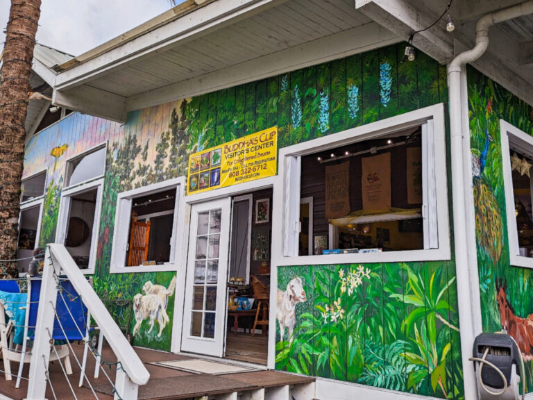 Tasting Room at Buddhas Cup Coffee Farm Captain Cook Kona Coast Big Island Hawaii 3b