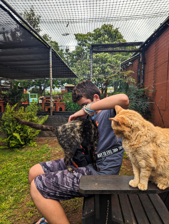 Taylor Family at Lanai Cat Sanctuary Lanai Hawaii 1