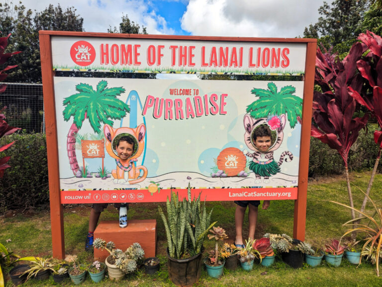 Taylor Family at Lanai Cat Sanctuary Lanai Hawaii 2