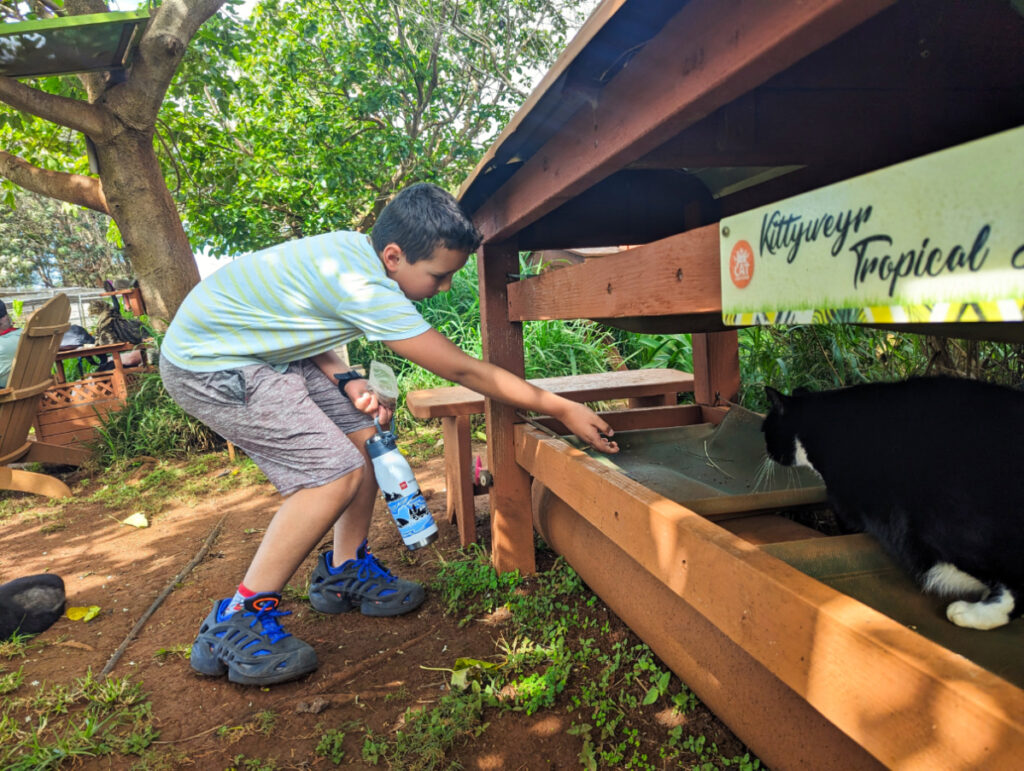 Taylor Family at Lanai Cat Sanctuary Lanai Hawaii 4