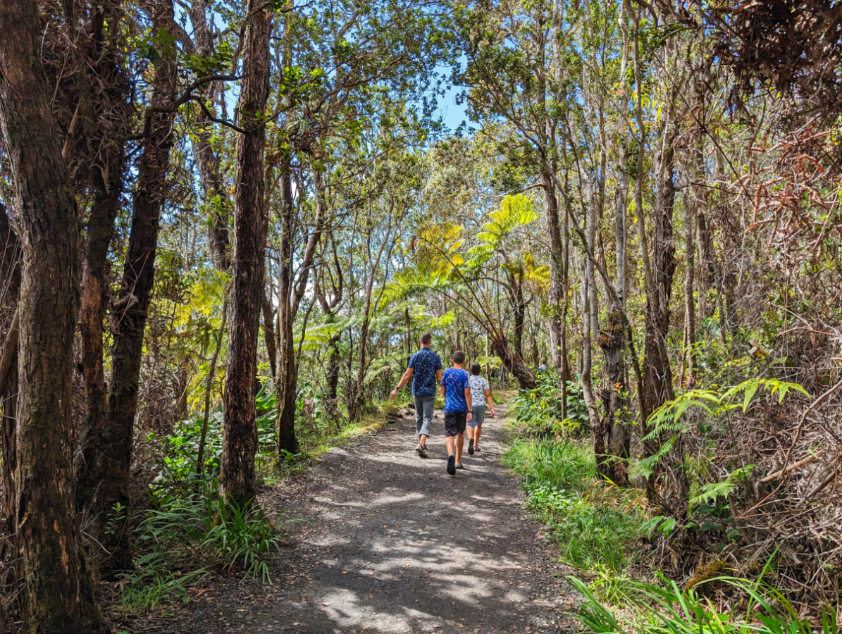 Taylor Family on Kilauea Iki Trail in Hawaii Volcanoes National Park Big Island Hawaii 1