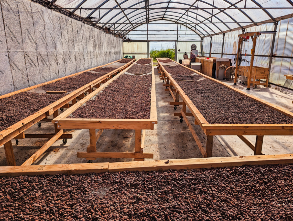 Lavaloha Chocolate Farm: Beautiful Cacao Farm Tours near Hilo