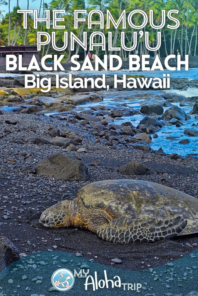 The Punalu'u Black Sand Beach on the Big Island of Hawaii is one of the most iconic beaches in the islands. Besides the beautiful jet black sand, Hawaiian green sea turtles (honu) dot the beach making it a must-visit spot on your Hawaii trip.