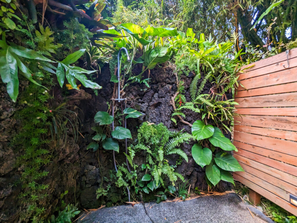 Outdoor Jungle Shower at Kaawa Loa Plantation Bed and Breakfast Captain Cook Kona Coast Big Island Hawaii 1