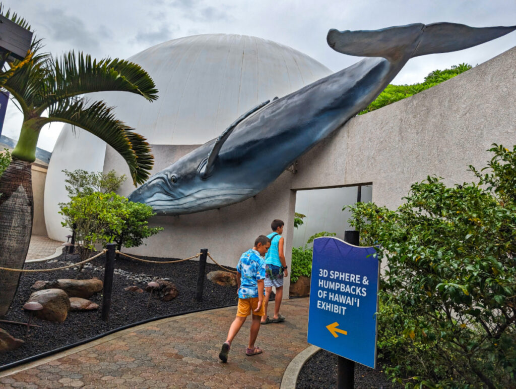 Taylor Family at Humpback Whale Exhibit at Maui Ocean Center Maalaea Maui Hawaii 2