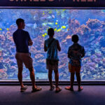 Taylor Family at Maui Ocean Center Maalaea Maui Hawaii 4