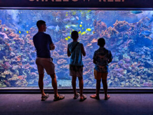 Taylor Family at Maui Ocean Center Maalaea Maui Hawaii 4