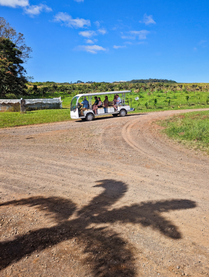 Tram for Chocolate Tour at Lavaloha Cacao Farm Hilo Big Island Hawaii 2