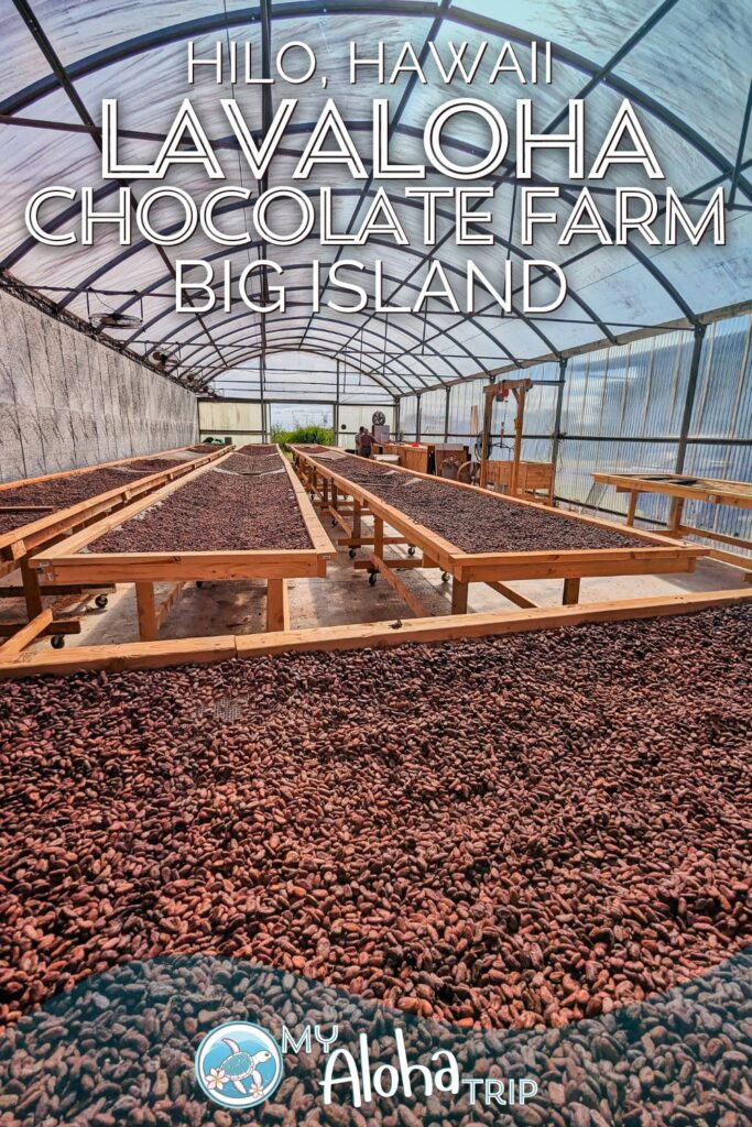 Lavaloha Chocolate Farm is a very unique sort of activity when you're in Hilo on the Big Island. See what you'll do and experience as you tour this beautiful cacao farm on the east side of Hawaii, including ideas for more things to do nearby Lavaloha.