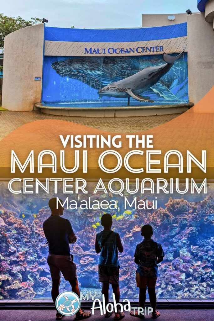 The Maui Ocean Center is a wonderful aquarium focused on the wildlife and marine ecosystems of the Hawaiian Islands. Visiting included seeing species up close, experiencing the 3-D humpback whale film and more.