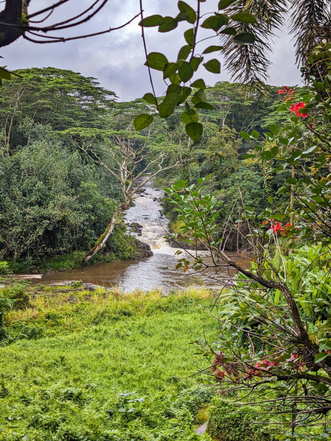 Waterfall on Wailua River from Hindu Monastery Kapaa Kauai Hawaii 1