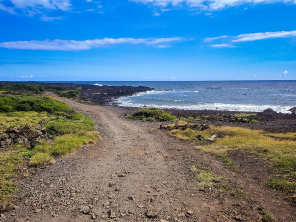 4x4 Truck Ruts at Papakōlea Green Sand Beach South Shore Big Island Hawaii 5