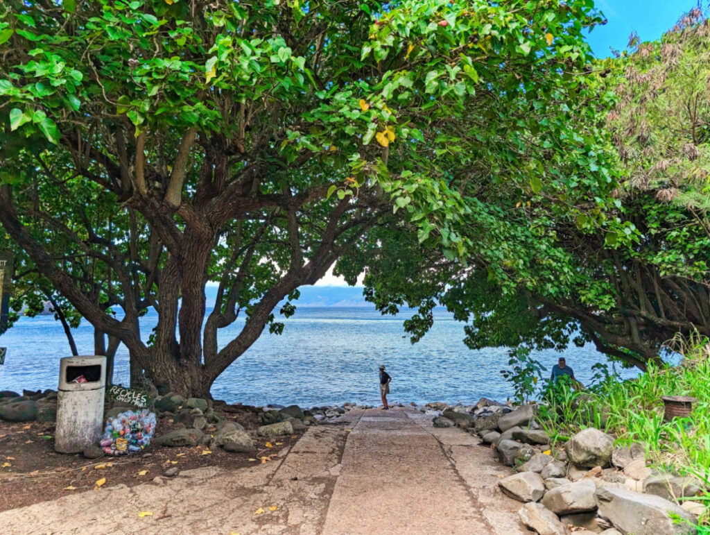 Beach Access at Honolua Bay Maui Hawaii 1