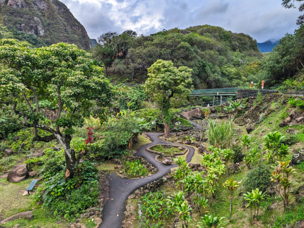 Botanical Garden at Iao Valley State Park Wailuku Maui Hawaii 1