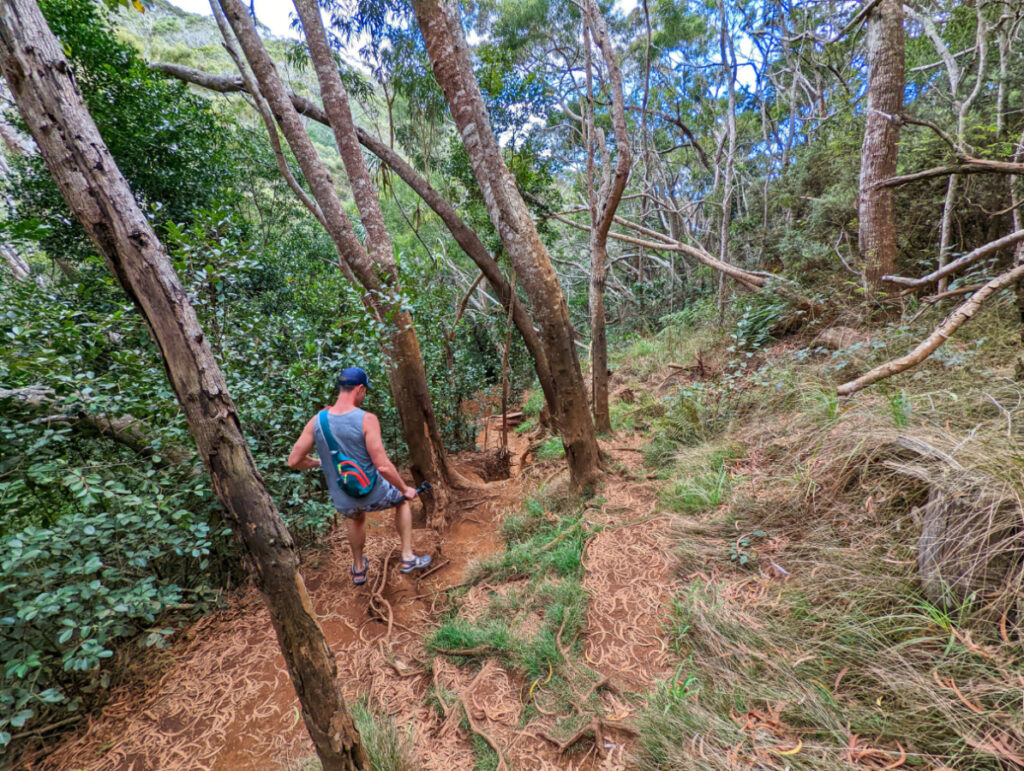 Chris Taylor Hiking Canyon Trail in Waimea Canyon State Park South Shore Kauai Hawaii 2