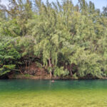 Chris Taylor swimming at Lumahai Beach North Shore Kauai Hawaii 1