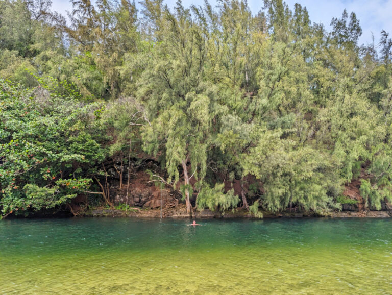 Chris Taylor swimming at Lumahai Beach North Shore Kauai Hawaii 1