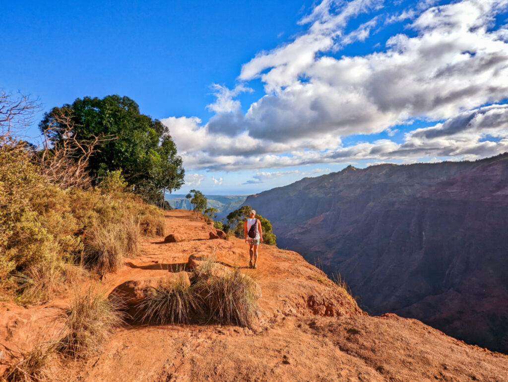 Rob Taylor Hiking Canyon Trail in Waimea Canyon State Park South Shore Kauai Hawaii 4