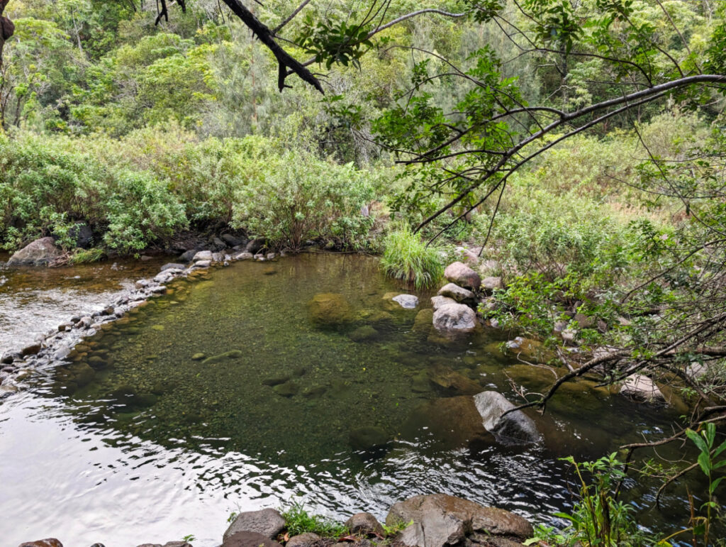 Swimming hole at Iao Valley State Park Wailuku Maui Hawaii 1