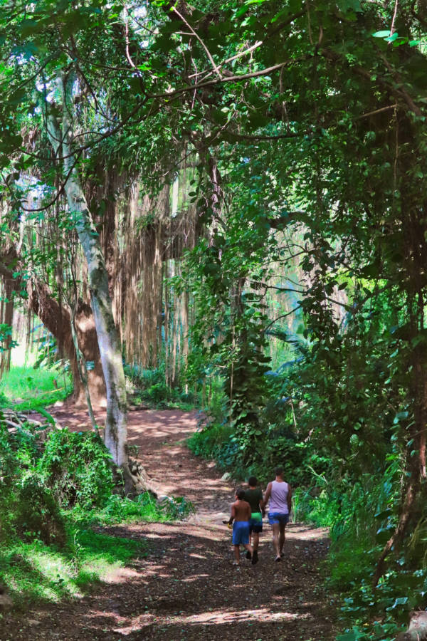 Taylor Family at Magical Enchanted Forest Honolua Bay Access Trail Maui Hawaii 1