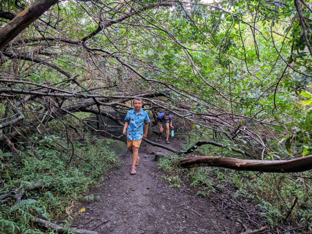 Taylor Family in Iao Valley State Monument Wailuku Maui Hawaii 2