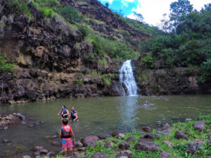 Taylor Family swimming at Waterfall at Waimea Valley North Shore Oahu Hawaii