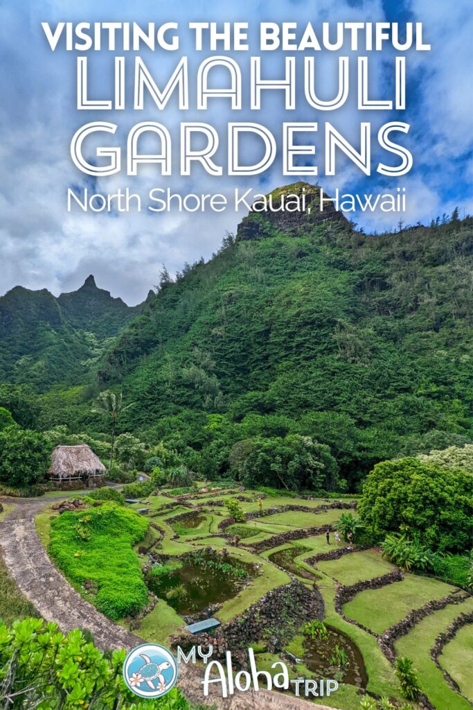 Tucked away on the North Shore of Kauai, the Limahuli Gardens are a beautiful place to visit for both the botany and the ancient farming terraces. See what you'll find here at this Na Pali Coast spot and what makes it such a special Hawaii activity.