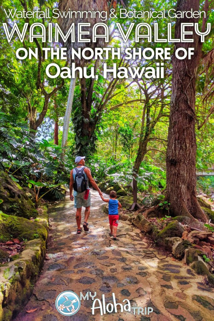 The Waimea Valley on the North Shore of Oahu is a beautiful place to explore both the botanical garden and swim at a waterfall. This spot is a must-visit for any first timer to Oahu or anyone that's dreamed of waterfall swimming in Hawaii.