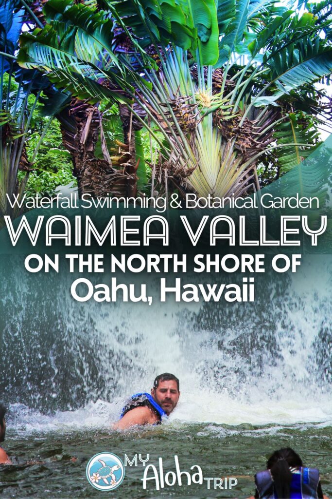 The Waimea Valley on the North Shore of Oahu is a beautiful place to explore both the botanical garden and swim at a waterfall. This spot is a must-visit for any first timer to Oahu or anyone that's dreamed of waterfall swimming in Hawaii.