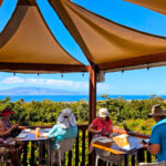 Chocolate Tasting in Cacao Grove at Maui Chocolate Tour Lahaina Maui Hawaii 2