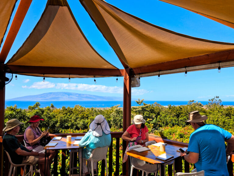 Chocolate Tasting in Cacao Grove at Maui Chocolate Tour Lahaina Maui Hawaii 2