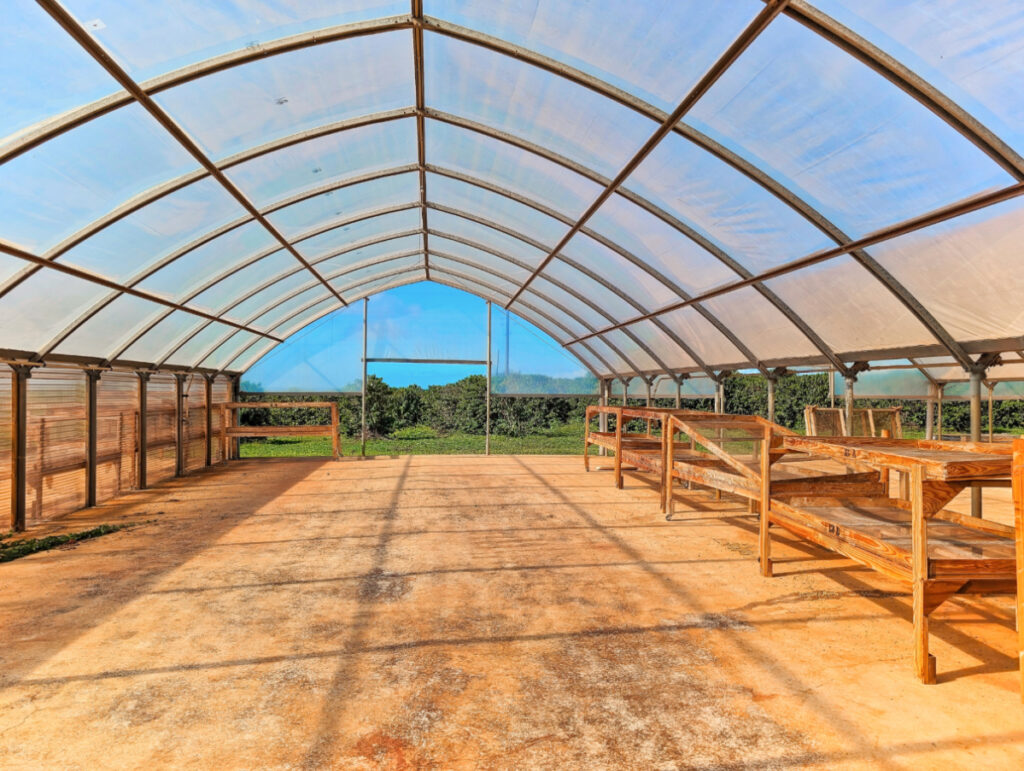 Coffee Bean Drying tent at Kauai Coffee Company South Shore Kauai 1