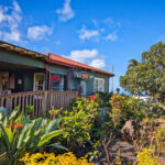 Coffee Farm at Kauai Coffee Company in Kalaheo South Shore Kauai 1