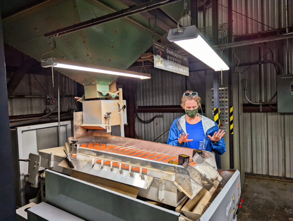 Green Coffee Processing at Mountain Thunder Coffee Co Kona Big Island Hawaii 2