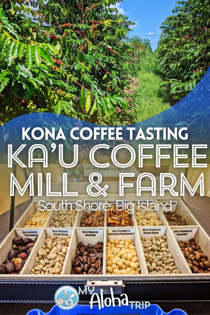 With so many coffee farms to visit, Ka'u Coffee Mill on the Big Island's Mamalahoa Highway stands out as one of the best. With coffee tastings, a beautiful farm and a little coffee education, it's a top pick for a Kona Coffee experience.