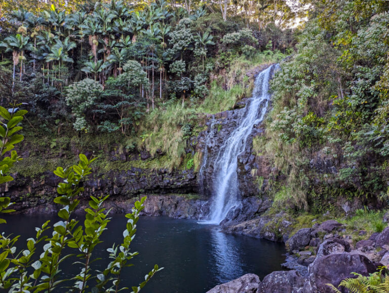 Kulaniapia Falls Hilo Big Island Hawaii 5