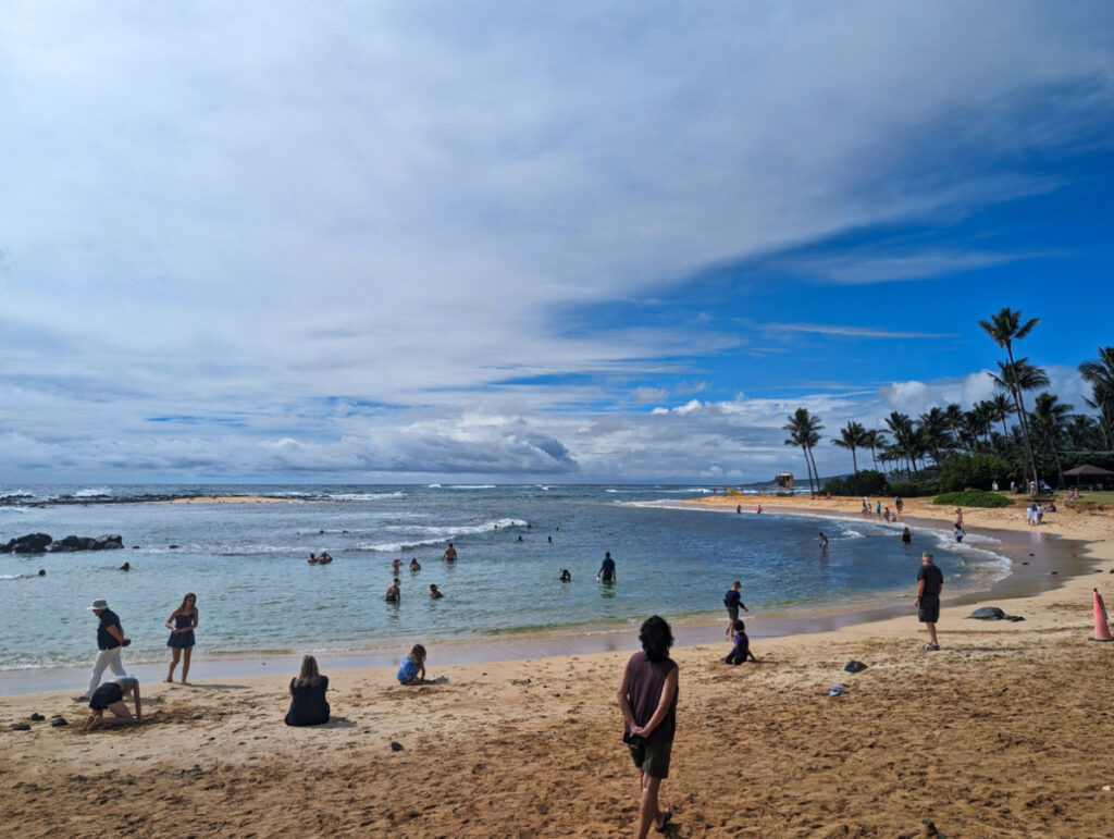 Poipu Beach with Honu Hawaiian Green Sea Turtle Koloa South Shore Kauai Hawaii 1