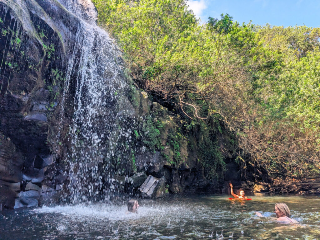 Swimming in waterfall with Hawaii Forest and Trail Kohala Waterfall Hiking Big Island Hawaii 1