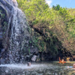 Swimming in waterfall with Hawaii Forest and Trail Kohala Waterfall Hiking Big Island Hawaii 1