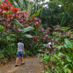 Taylor Family hiking at Garden of Eden Arboretum Road to Hana Maui Hawaii 1