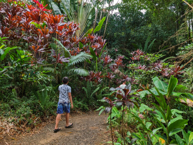 Taylor Family hiking at Garden of Eden Arboretum Road to Hana Maui Hawaii 1