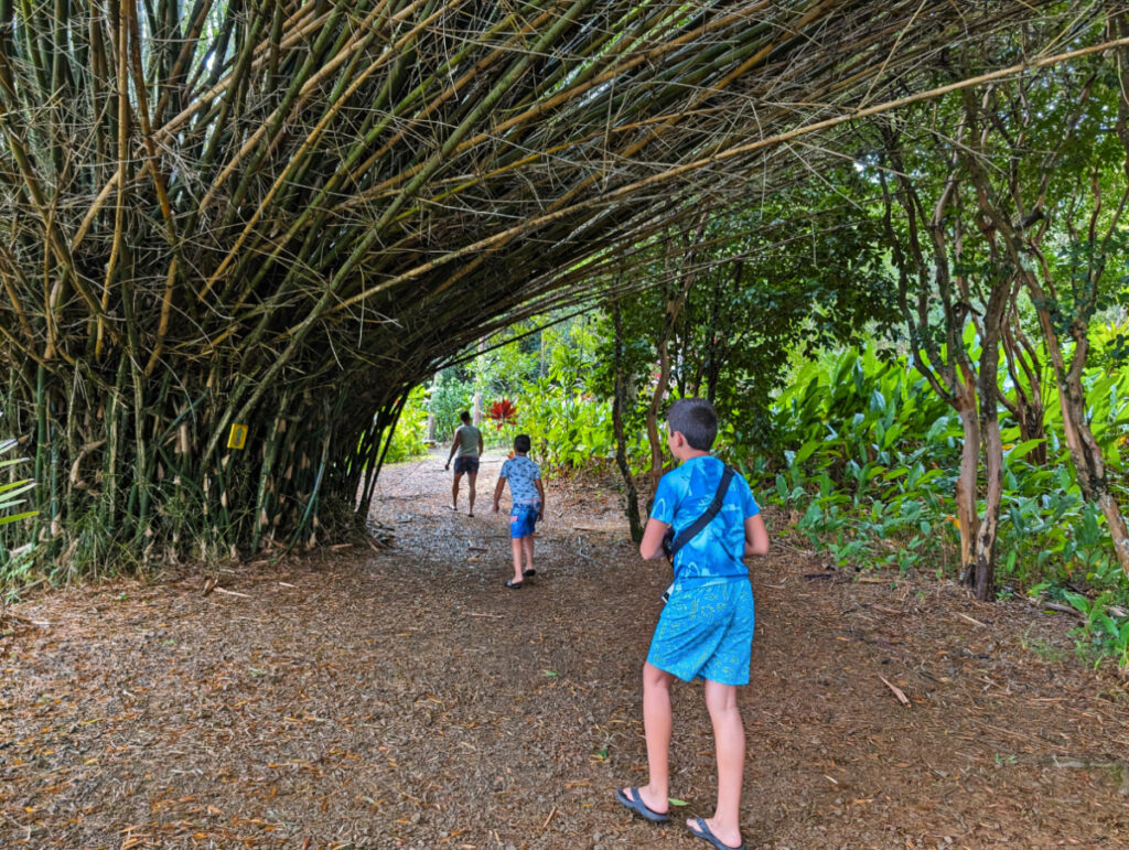 Taylor Family hiking at Garden of Eden Arboretum Road to Hana Maui Hawaii 2