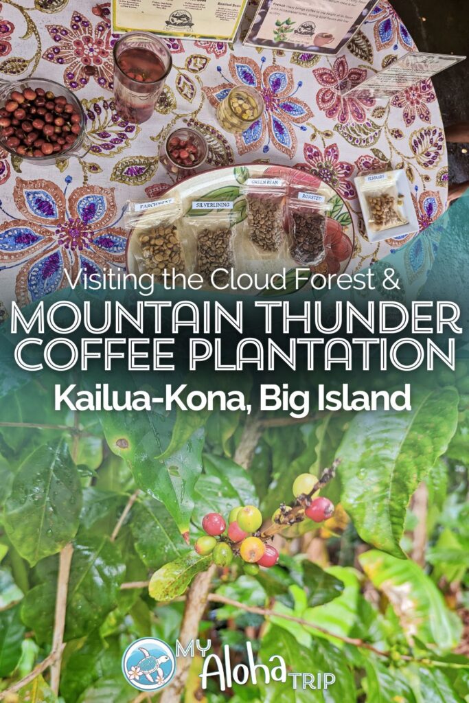 For a great Kona Coffee experience, add Mountain Thunder Coffee Plantation to your Big Island plans. See what you'll encounter here at this beautiful cloud forest coffee farm and what things you can do at Mountain Thunder.