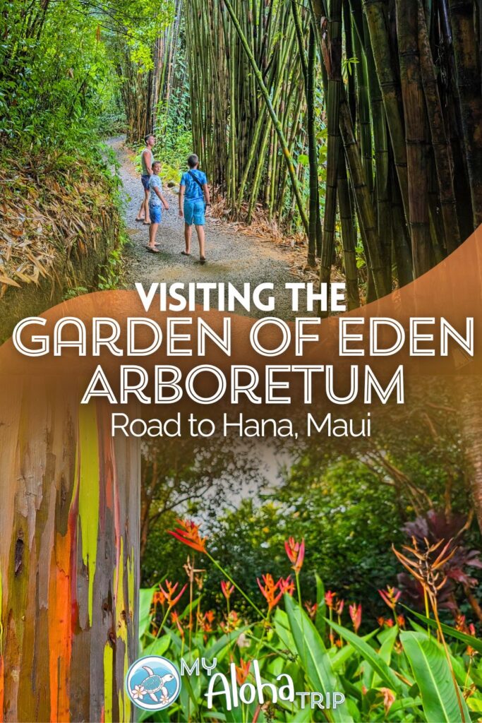 The Garden of Eden Arboretum on the Road to Hana is a beautiful stop as you drive around Maui. With trails, flowers, incredible trees and peacocks, this is a great stop to plan when you're exploring the island.