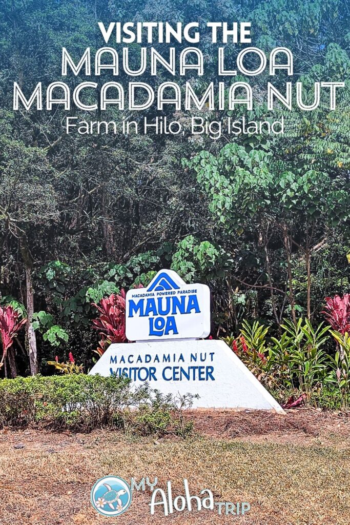 Are you obsessed with macadamia nuts like my best friend is? Then you need to visit the Mauna Loa Macadamia Nut Farm on the Big Island of Hawaii. We've got the whole scoop on the farm, samples and more.